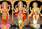 दैत्यनाशक, उत्पातनाशक, रोगनाशक, गमननाशक एवं आमर्षनाशक हैं माँ दुर्गा !