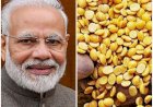 Corona Effect : देश के 20 करोड़ परिवारों को मई के पहले सप्ताह से मिलेगी मुफ्त दाल,खाद्य एवं आपूर्ति मंत्रालय ने दी जानकारी, केंद्रीय वित्त मंत्री ने की थी घोषणा