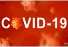 Corona Update : भारत में नहीं थम रही कोरोना महामारी,रोजोना हो रही है रिकॉर्ड बढ़ोतरी,जानिए, आपके राज्य में अब तक कितने लोगों में पाई गई है ये बीमारी?