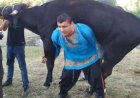 कमाल का ताकतवर है यह आदमी, भैंस-घोड़ा सब उठा लेता है, VIDEO देखने वाले रह जा रहे हैं दंग