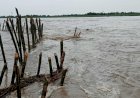 लगातार बारिश से बिहार की कई नदियों में उफान, नालंदा व गया में तटबंध टूटे