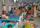 यूपी से लगे बिहार के जिलों के बच्चों में बुखार के प्रकोप से दहशत, स्वास्थ्य विभाग अलर्ट