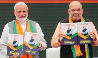 आर्टिकल 370 और 35ए को हटाएगी भाजपा, बीजेपी का घोषणा पत्र जारी