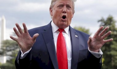 2020 का चुनाव हार सकते हैं अमेरिकी राष्ट्रपति डोनाल्ड ट्रंप, सर्वे में हुआ खुलासा