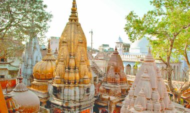 बाबा विश्वनाथ को अब पैकेट वाले दूध से नहीं हो सकेगा अभिषेक, काशी विश्वनाथ मंदिर न्यास परिषद ने तत्काल प्रभाव से लगाई रोक