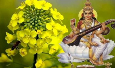 बसंत पंचमी के पावन पर्व पर पीले रंग का क्यों है गहन महत्व? बसंत पंचमी को क्यों माना जाता है  जीवन के आरंभ का दिन?