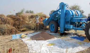 देश के किसानों ने दिखाया दम,इस वर्ष गेहूं और चना की रिकॉर्ड पैदावार होने के आसार,आलू-प्याज का उत्पादन भी पिछले सीजन से ज्यादा हुआ