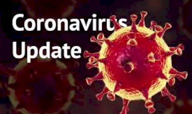 Corona Updates : कोरोना वायरस से जंग में जीत की ओर बढ़ रहा है भारत,संक्रमण के नए मामलों में आ रही है कमी,14378 हुई संक्रमितों की संख्या,480 लोगों की हो चुकी है मौत