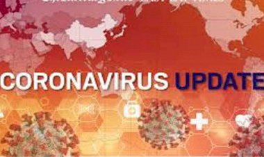 Corona Update : भारत में भी कहर बरपा रहा है कोरोना,संक्रमितो की संख्या हुई 17265,अब तक 543 लोगों ने तोड़ा दम,13295 कोरोना मरीजों का चल रहा है इलाज