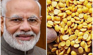 Corona Effect : देश के 20 करोड़ परिवारों को मई के पहले सप्ताह से मिलेगी मुफ्त दाल,खाद्य एवं आपूर्ति मंत्रालय ने दी जानकारी, केंद्रीय वित्त मंत्री ने की थी घोषणा