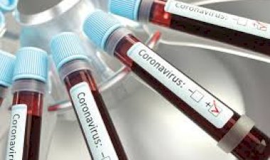 Corona Update : भारत में जारी है कोरोना का कहर, 50 हजार के करीब पहुंची संक्रमितों की संख्या, 24 घंटों में 2958 नए मरीजों की हुई पुष्टि,126 लोगों ने तोड़ा दम