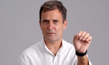 राहुल गांधी के 'तानाशाह' वाले बयान पर भाजपा का पलटवार, जावड़ेकर बोले- आप नहीं समझेंगे, M से ही महात्मा गांधी