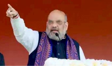 दिशा रवि की गिरफ्तारी पर बोले अमित शाह, अपराध करने वाले की उम्र और पेशा नहीं पूछना चाहिए