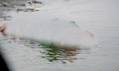 यूपी-बिहार सीमा पर स्थित बक्सर में गंगा में बहती दिखीं 30 से ज्यादा लाशें, कोरोना महामारी के डर से सहमे लोग