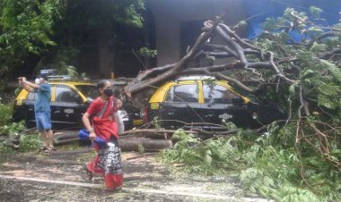 तौकते चक्रवात ने गुजरात, महाराष्ट्र में ऐसे मचाई तबाही, अब तक 12 की मौत, जानें राज्यों का हाल