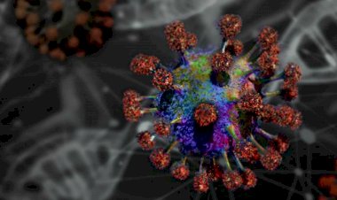 टीका लेने वालों से ज्यादा मजबूत है कोविड संक्रमित हो चुके लोगों की इम्यूनिटी, नई स्टडी में चौंकाने वाले नतीजे