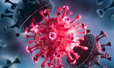 तीसरी लहर से पहले देश में बढ़ रहा डेल्टा प्लस वेरिएंट का खौफ, अब तक 40 मरीज मिले, ये 4 राज्य हैं वायरस के रडार पर