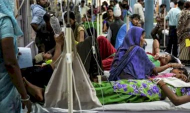 दिल्ली में इस साल डेंगू से पहली मौत, अब तक कुल मरीजों की संख्या 723 पर पहुंची