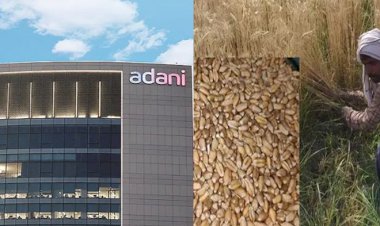 FCI की बजाए पंजाब-हरियाणा में अडानी ग्रुप किसानों से खरीद रहा गेहूँ’: मीडिया में किए जा रहे दावों का फैक्ट चेक