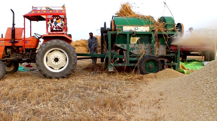 देश के किसानों ने दिखाया दम,इस वर्ष गेहूं और चना की रिकॉर्ड पैदावार होने के आसार,आलू-प्याज का उत्पादन भी पिछले सीजन से ज्यादा हुआ