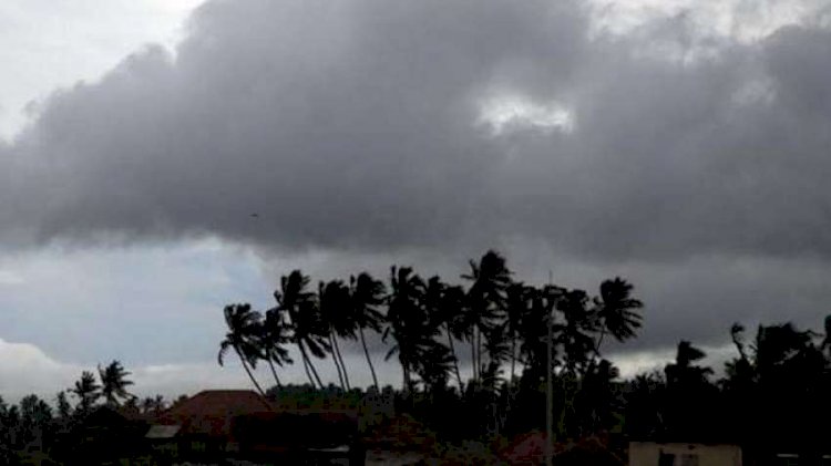 Monsoon update : जानिए, इस वर्ष आपके राज्य और शहर में कब दस्तक देगा मानसून?