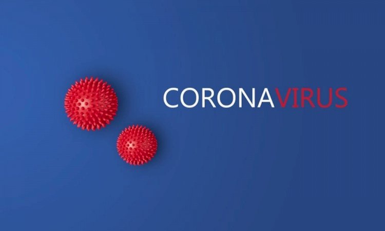 Corona Update : यहां जानिए,आपके राज्य में कितनी है कोरोना संक्रमितों की संख्या? क्या भारत में धीमी पड़ी कोरोना की रफ्तार?